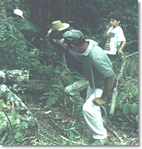 Imagem projeto máquina de farinha