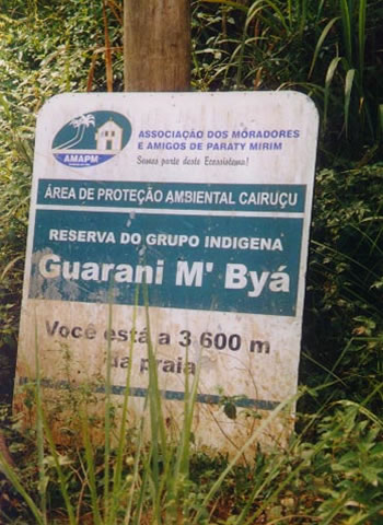 Oficina de Bambu - Imagem 5