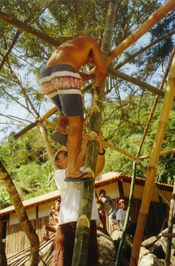 Oficina de Bambu - Imagem 6